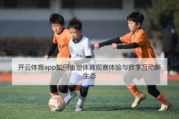 img_1777452716258_5_1_142.jpg